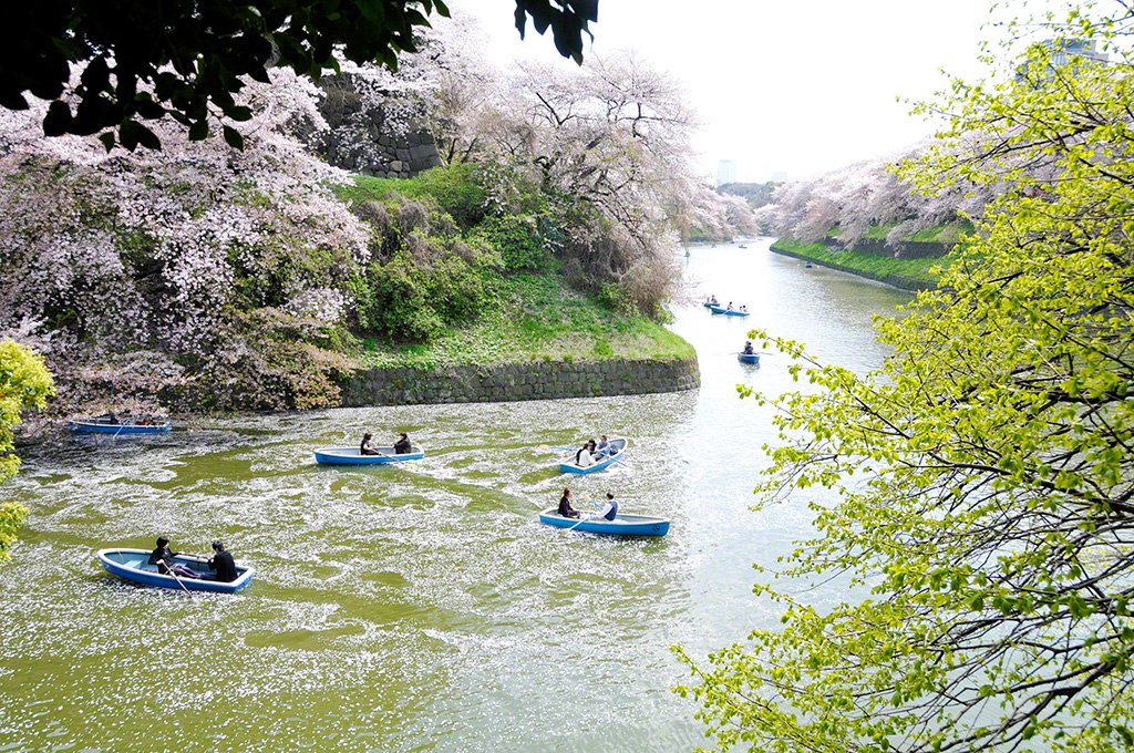 Chidorigafuchi, Chiyoda-ku, Tokyo