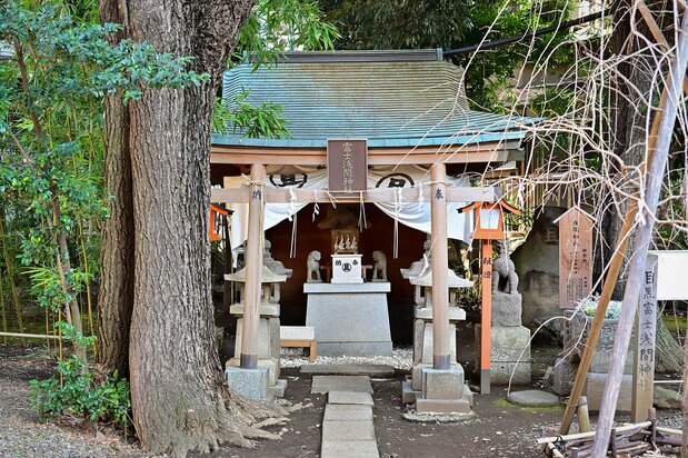 上目黒氷川神社の本殿右にある末社の浅間神社。富士塚にあった石の祠が収められている