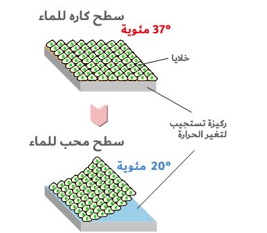 السطح كاره للماء عند درجة حرارة 37° مئوية، ولكن يصبح محب للماء عند درجة الحرارة 20° مئوية ما يسمح بإزالة الخلايا وهي سليمة على شكل رقاقة.