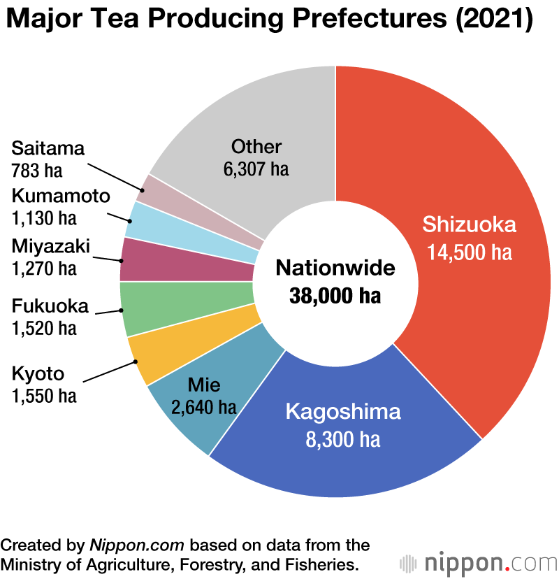 Japan’s Green Tea Exports Reach a New High