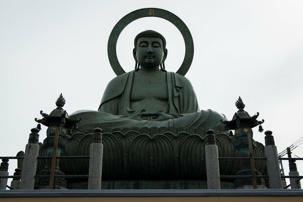 The Daibutsu’s handsome features are testament to the skills of Takaoka’s copperware artisans. This statue is unusual for the disc of light behind its head.