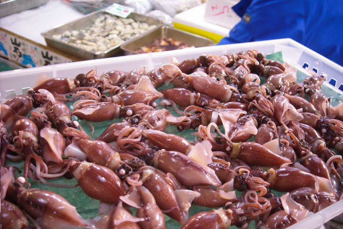 Big catches of firefly squid—shown here in their boiled form—are predicted for Toyama this year.