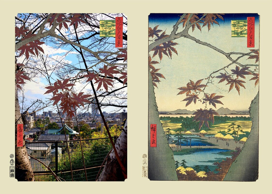 『真間の紅葉手古那の社継はし』：浮世写真家 喜千也の「名所江戸百景」第99回
