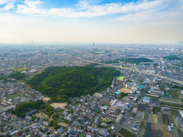 南側上空から見た応神天皇陵古墳。市街地に現れた巨大な森のようだ