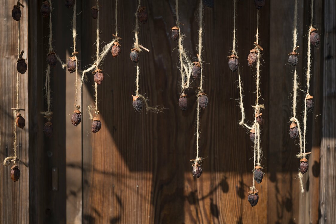 Persimmons harvested from the surrounding gardens are hung to dry from the eaves of an old Japanese storehouse.