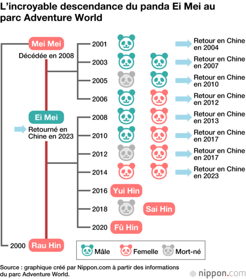 L’incroyable descendance du panda Ei Mei au parc Adventure World