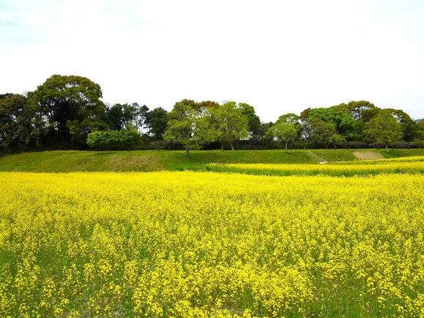 水城跡。建設当時は9メートルもの高さがあったとされる（福岡県太宰府市提供）