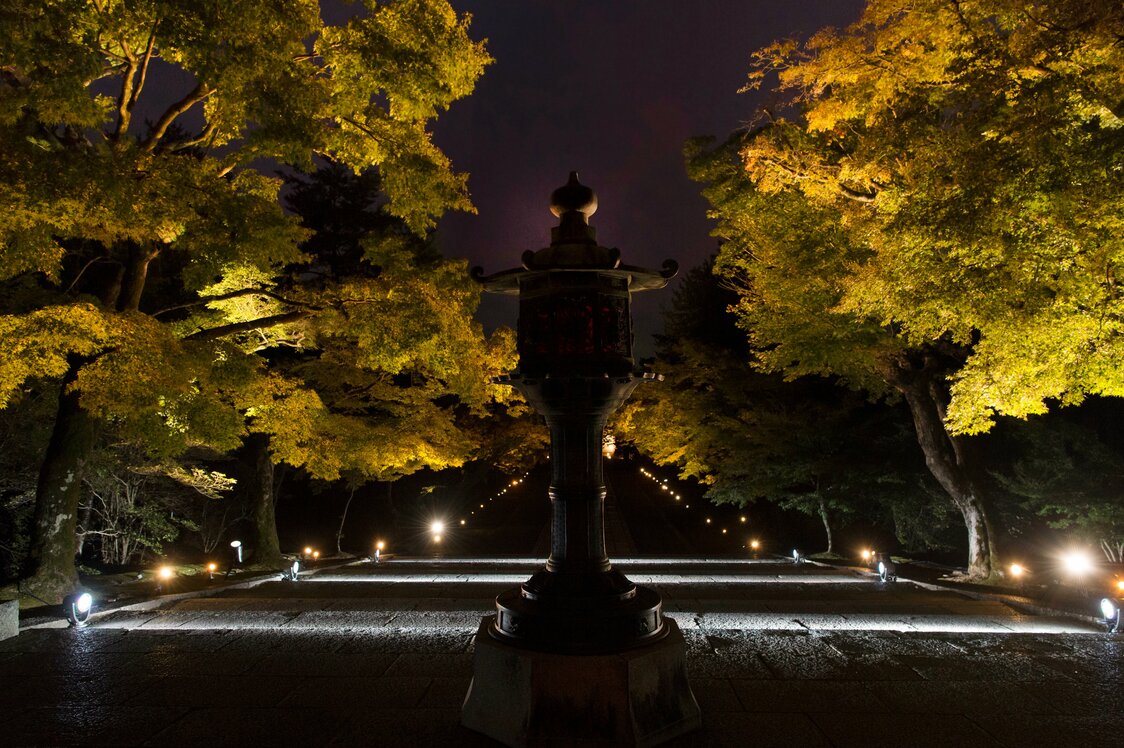 ライトアップされた仁和寺境内