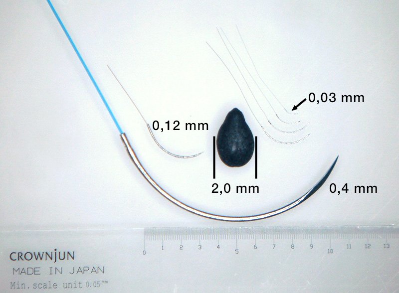 Tamaño de las agujas utilizadas en operaciones de microcirugía comparadas con una semilla de sésamo. (Kōno Seisakusho)