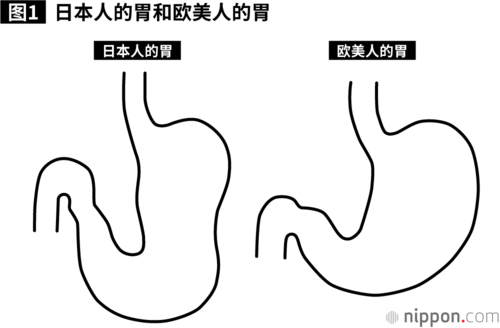 日本人的胃更适合吃谷物