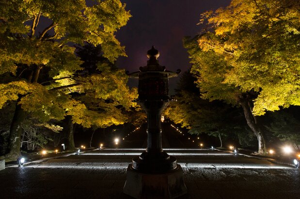 ライトアップされた仁和寺境内