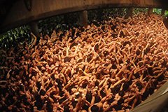写真提供＝岡山商工会議所