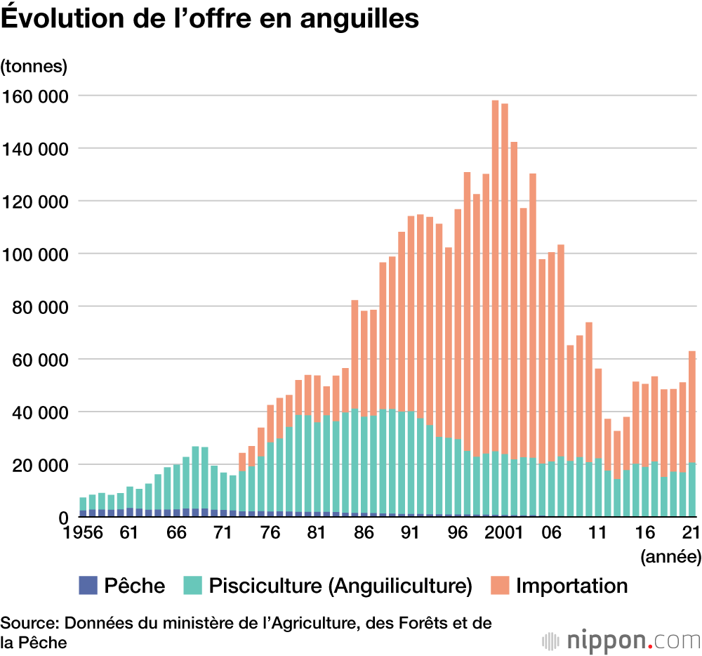 Évolution de l’offre en anguilles