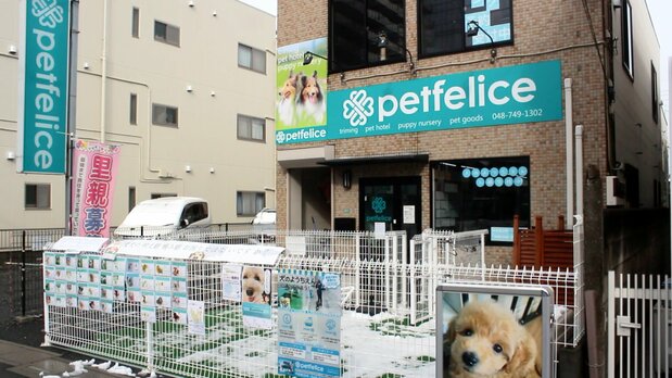 petfelice(埼玉県さいたま市)店舗はJR与野駅から徒歩3分