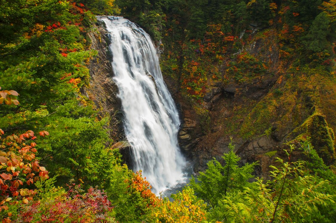 尾瀬を源流とする只見川の上流にある三条ノ滝　写真：PIXTA