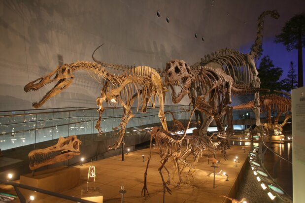 The Dinosaur World exhibit at the Fukui Prefectural Dinosaur Museum is one of the facility’s biggest draws. (© Fukui Prefectural Dinosaur Museum)