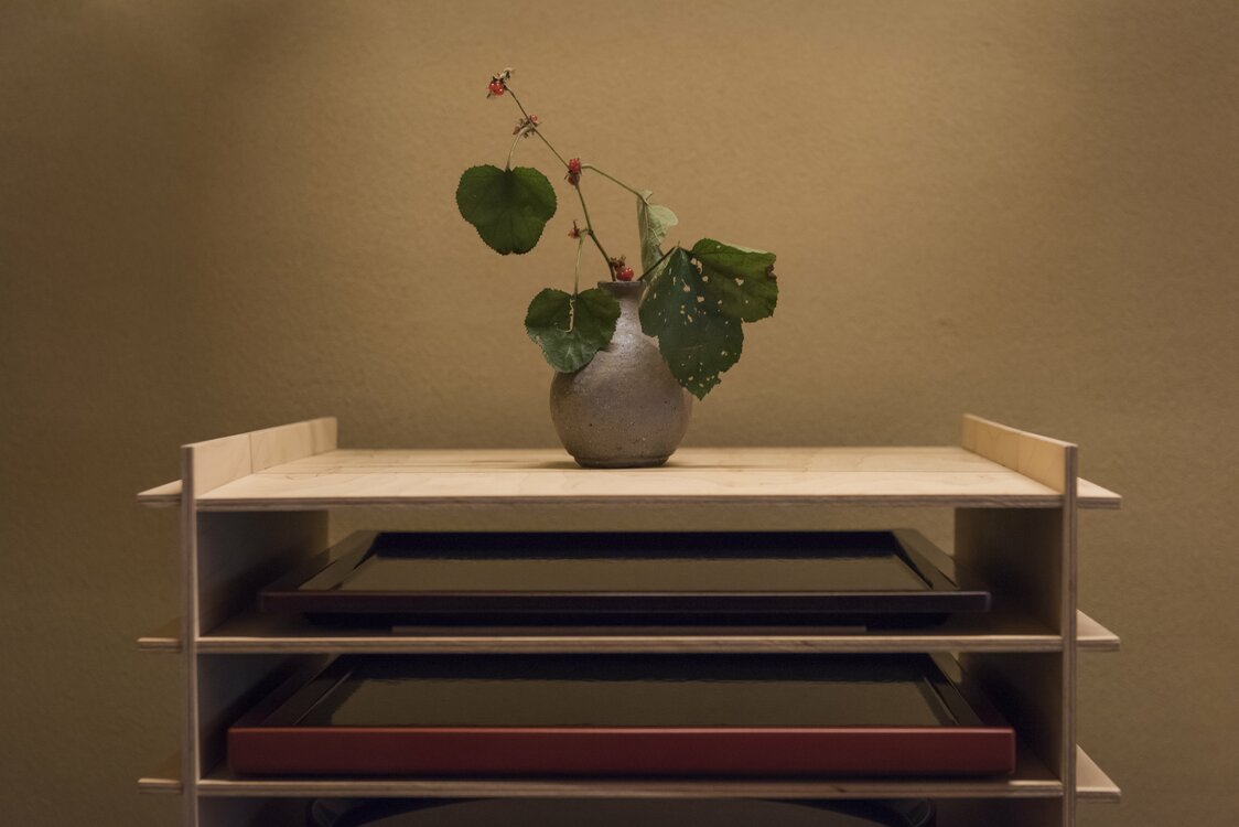 Des plantes de saison dans les vases en céramique