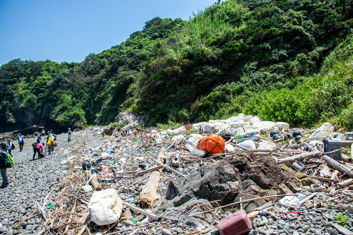 在前期工作中，已将白色浮标和黑色浮具集中到了海浪触达不到的海岸深处