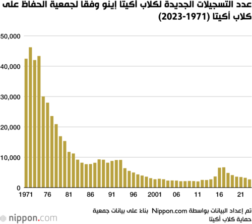 عدد التسجيلات الجديدة لكلاب أكيتا إينو وفقًا لجمعية الحفاظ على كلاب أكيتا (1971-2023)