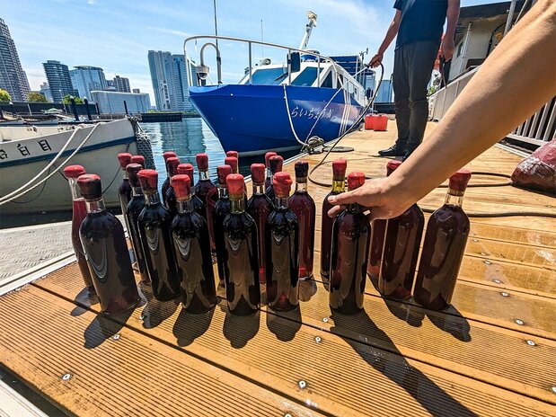 从东京海洋大学用地内的海里打捞上来的海底熟成葡萄酒（图片：东京深川酒庄）