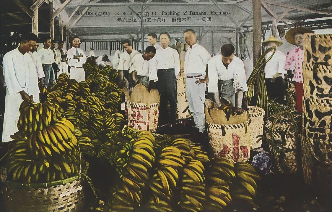 香蕉裝箱一幕（臺農發股份有限公司提供）