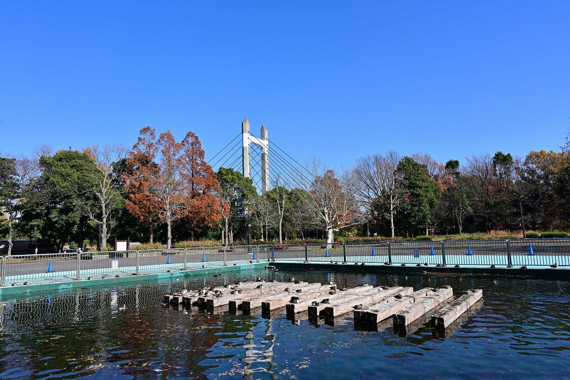 木場公園の一角にある角乗り場が、かつての木場の面影を残している