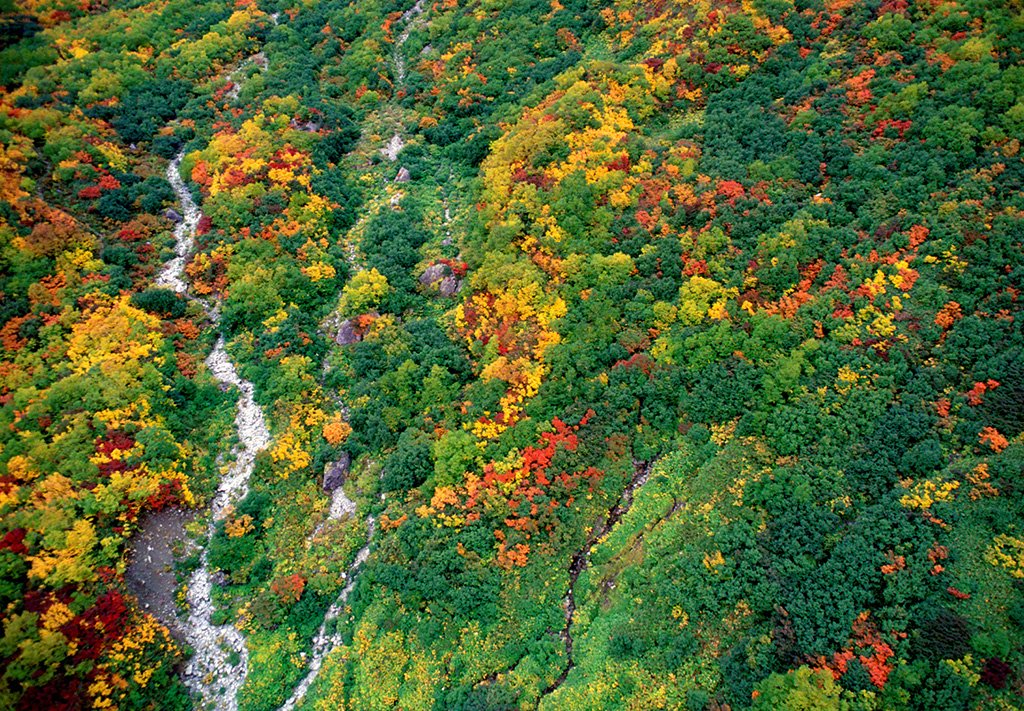 Tanbo-daira en automne, octobre