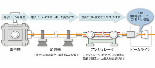 SACLAのしくみ