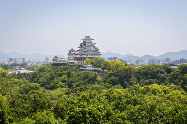 Seen from Otokoyama Haisuiike Park, Himeji Castle seems to float on a carpet of green.