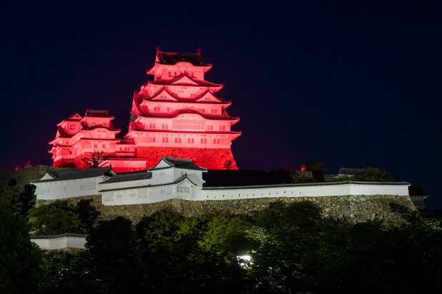 The castle is lit up each night from sundown to midnight, with special seasonal and commemorative displays bathing the keep in varying color schemes.