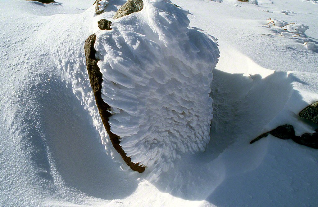 Une sculpture naturelle de la neige, novembre