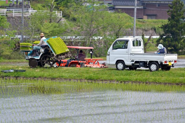 Les keitora sont des véhicules pratiques indispensables pour divers secteurs comme l'agriculture et la pêche. (Pixta)