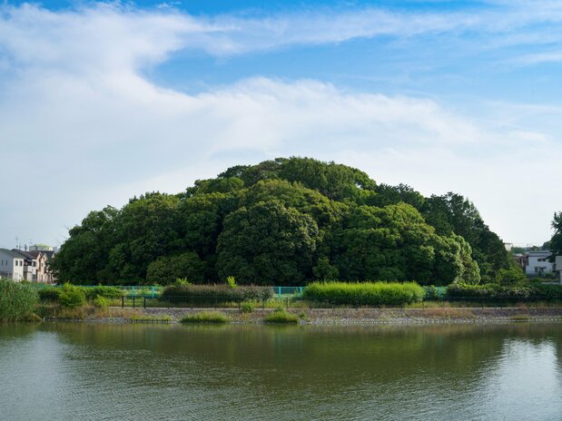 下田池越しの仁賢天皇陵古墳