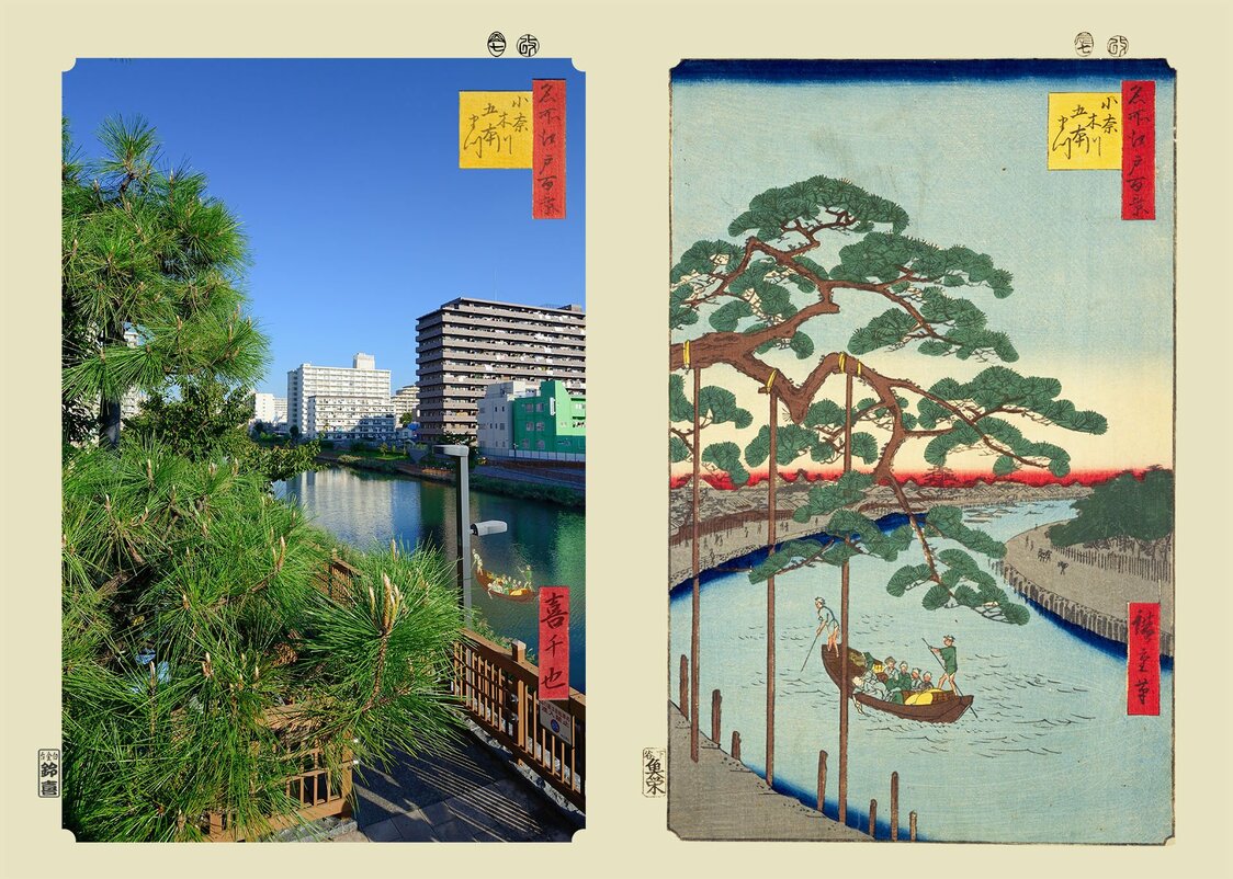 『小奈木川五本まつ』：浮世写真家 喜千也の「名所江戸百景」第74回