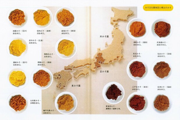 日本的味噌文化圈地图与各地的味噌(小泉武夫提供)