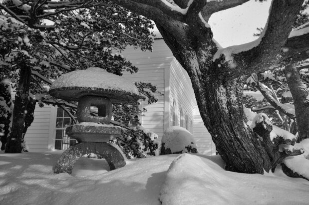 旧函館博物館2号（奥の白い建物）のすぐそばにある灯篭