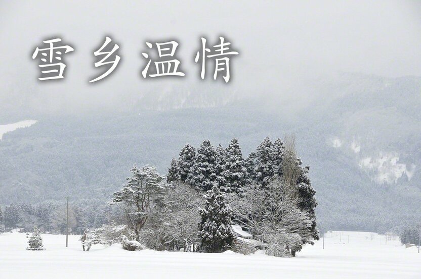 为房屋遮风挡雪的房地林(秋田县仙北市角馆)