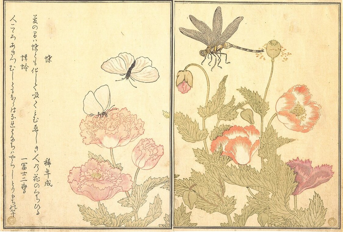 宿屋饭盛编、喜多川歌麿绘《画本虫撰》，彩印狂歌画册，1788年出版。出版商：茑重（藏于大都会艺术博物馆）