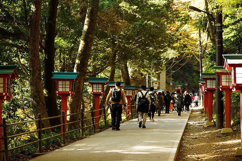 高尾山的登山路线，除了有6条经过修整铺设的各具特色的登山道“自然研究路”外，还有沿途自然景致丰富的“稻荷山路线”和南北纵贯四座大山的“高尾山～阵马山路线”。游客最多的是通往药王院的“1号路”表参道路线