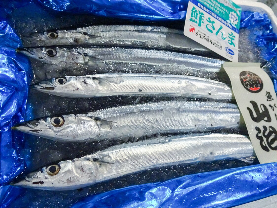 不漁を反映して、昨年よりも１か月以上遅れて豊洲市場に初入荷した小ぶりなサンマ　写真：市場関係者提供