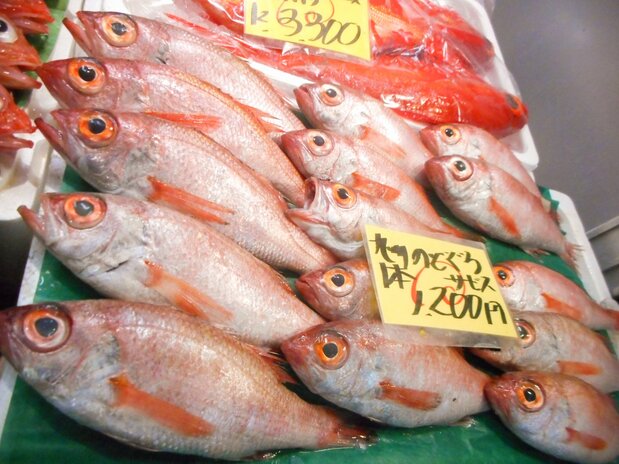 新型コロナの影響で料理店の客足が減り、需要が低下しているノドグロ　写真：筆者提供