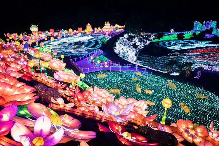 Expert Opinion: Five Must-See Light Displays in Japan