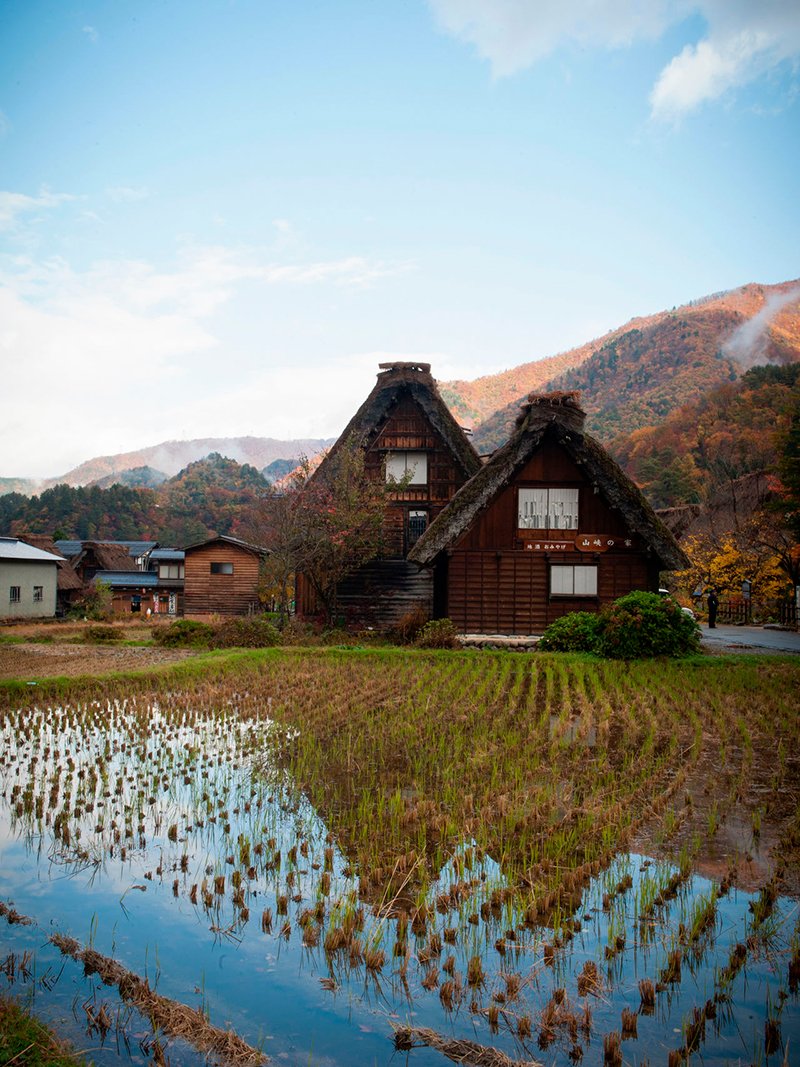 « Yamaai no ie », une boutique de souvenirs et de saké local dans des maisons de style gasshô-zukuri.