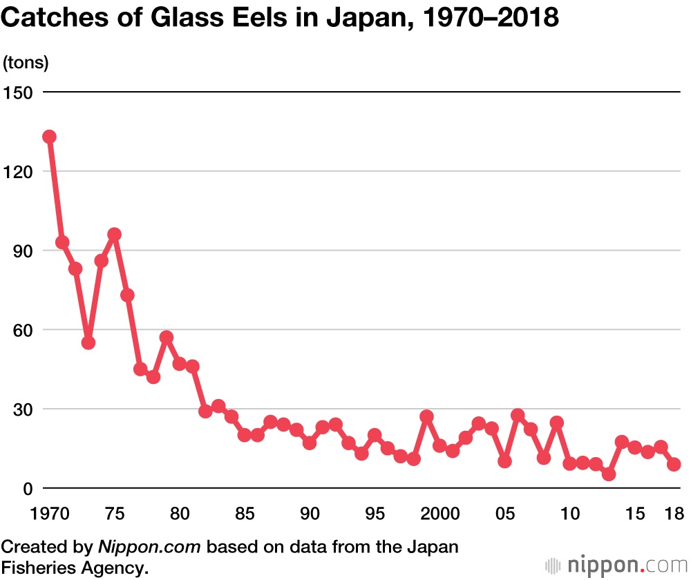 Gangsters Cash in on Endangered Eels