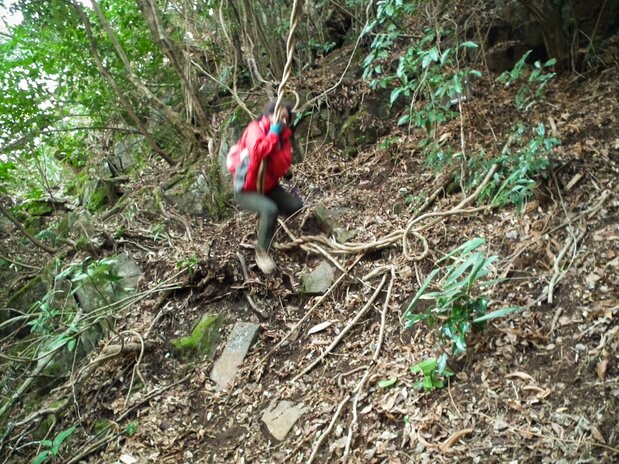 A hiker on the circuit course swings from a hanging vine.