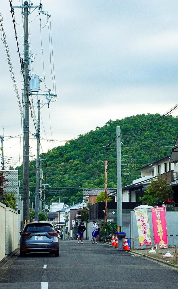 衣笠山近景