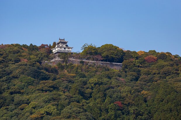 从锦带桥上眺望岩国城。现在的天守是1962年重建的