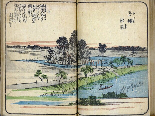 広重著『絵本江戸土産』第一編（1850年頃刊、国会図書館蔵）「吾嬬の森」は、名所江戸百景とほぼ同じ場所からの眺めを描き、解説には「連理の樟」と記される