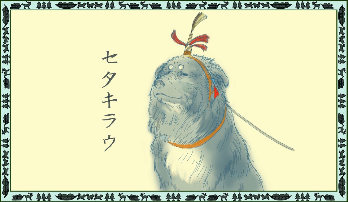 Sakhaline se situe à la frange méridionale de la culture des traîneaux à chiens en Asie de l’Est. L’équipement et les noms en usage chez le Aïnous de Sakhaline ont une grande similarité avec ceux des populations nordiques. L’illustration représente un chien meneur arborant un ornement appelé seta kiraw.