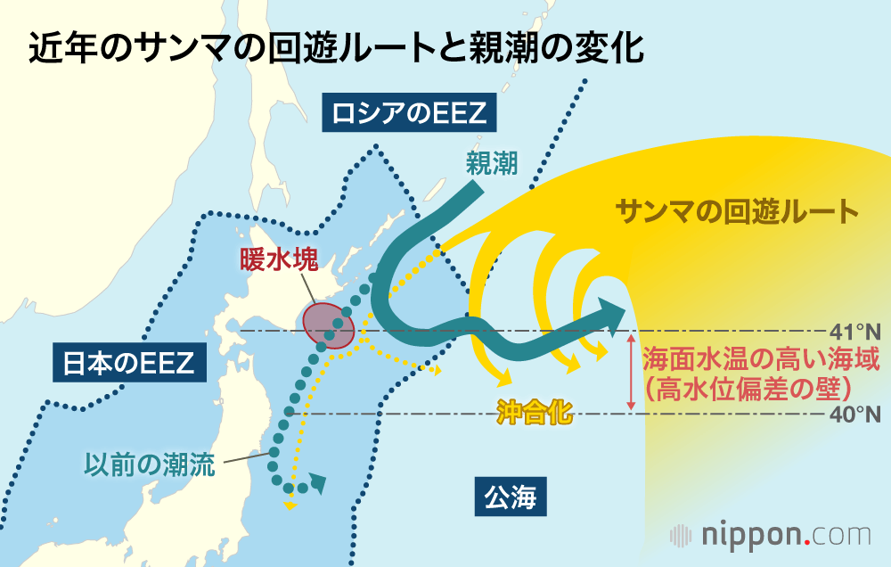 初サンマが豊洲で過去最高の1匹2万5000円！：2023年も大不漁の予測、海水温の上昇などが要因